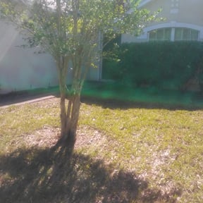 Bush Trimming by G4L Lawn Maintenance reviewed on August 21, 2025