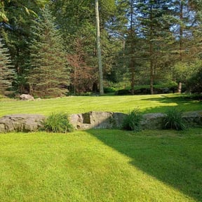 grass cutting by Fredy&#039;sLawnmovingservice reviewed on August 17, 2025