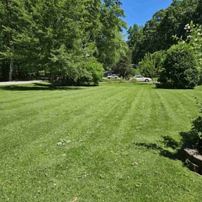 gardening service by Mola Property and Lawn Service reviewed on April 15, 2024