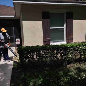 Bush Trimming by MJ'S Lawn service reviewed on August 21, 2025