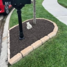 Flower Bed Weeding by USA Lawncare Inc reviewed on August 20, 2025