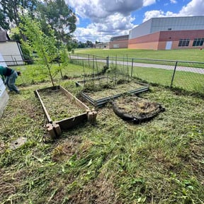 Flower Bed Weeding by ABY Landscaping reviewed on July 2, 2026
