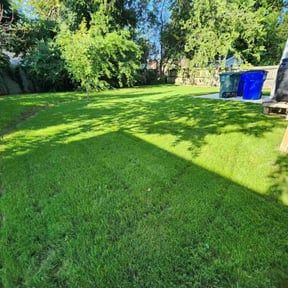 residential landscaping by Solo Lawns reviewed on December 6, 2025