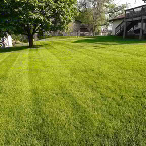 residential landscaping by Just us landscaping LLC reviewed on August 15, 2025