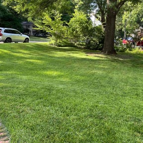 grass maintenance by Together United Services LLC reviewed on October 26, 2024