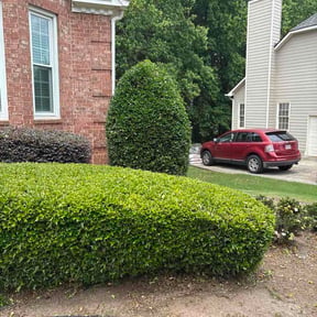 Bush Trimming by Larkin Lawn Care reviewed on May 25, 2026