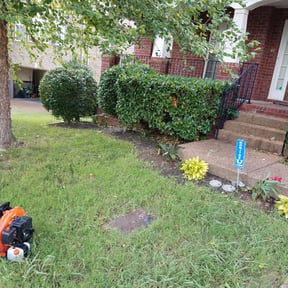 Bush Trimming by Redneck Lawn Care and Landscaping reviewed on August 15, 2025