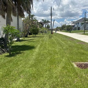 lawn care by EMP Lawn Services, LLC reviewed on August 20, 2025