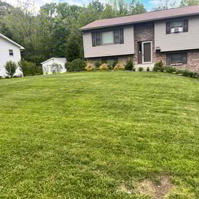 lawn care services by 66landscaping.com reviewed on August 14, 2025