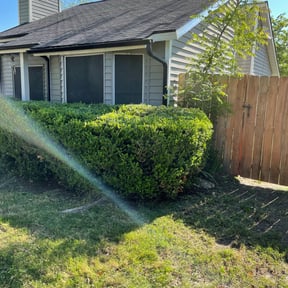 Bush Trimming by Hector's Lawn Care reviewed on August 18, 2025
