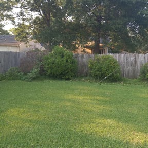 Bush Trimming by Four Level LLC -678.688.LAWN reviewed on August 19, 2025