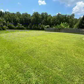 yard service by Crl Inc. reviewed on August 19, 2025