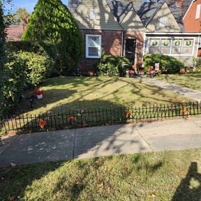 Leaf Removal by Ariel and daddy lawn care reviewed on May 29, 2024