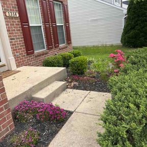 Bush Trimming by Landyns Lawncare reviewed on May 6, 2026