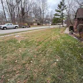 Leaf Removal by Darrie reviewed on October 22, 2025