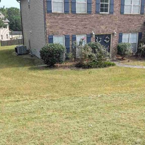 Bush Trimming by LawnCore reviewed on August 19, 2026