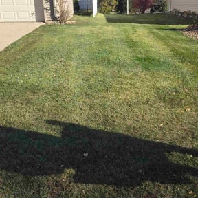 Leaf Removal by K C  lawn care reviewed on October 23, 2025