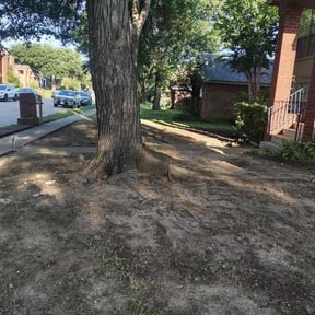 Leaf Removal by ZKZ Landscape &amp; design reviewed on August 16, 2026