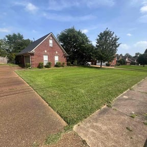 yard service by Top Turf L.L.C reviewed on August 13, 2025