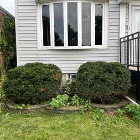 Bush Trimming by Brookes Lawnscape reviewed on December 18, 2025