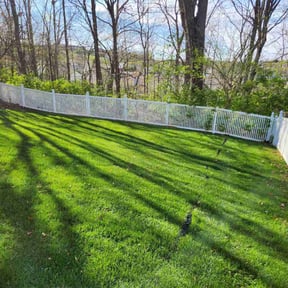 yard care by Confluence Labor Services reviewed on November 18, 2025