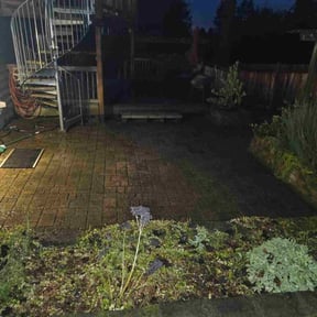 Leaf Removal by Davis Yard Works, LLC reviewed on December 7, 2025