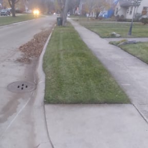 Leaf Removal by Slaughter Clean Cut Lawn Care llc reviewed on September 14, 2025