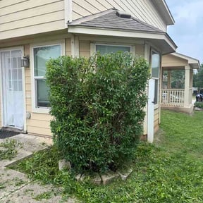 Bush Trimming by Curran Lawn and Snow reviewed on April 28, 2026