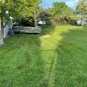Long Grass Cleanup by CNR Landscaping reviewed on August 9, 2024