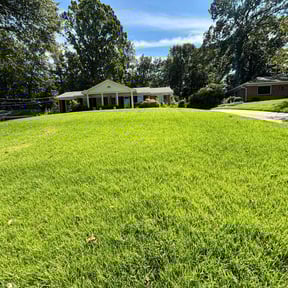 lawn maintenance by Okie Lawn and Landscape reviewed on August 20, 2025