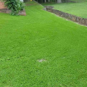 yard service by Kountrys Lawn Care reviewed on August 19, 2025