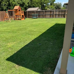 yard care by Holy Grounds Landscaping  reviewed on November 22, 2025