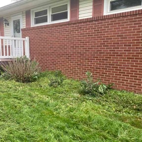 Leaf Removal by Greenleaf Premier LLC reviewed on June 4, 2026
