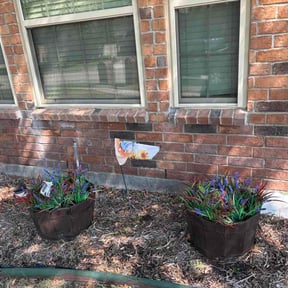 Flower Bed Weeding by M+A Yard Services Lp reviewed on September 16, 2026