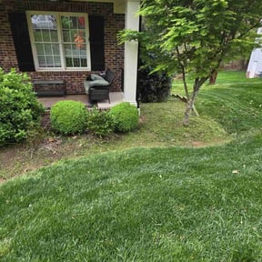 lawn care by Suffer Correct Seasonal Care reviewed on April 27, 2024