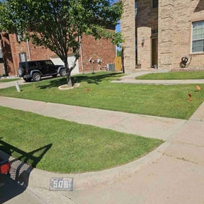 gardening service by Green Grass and Sunshine reviewed on March 17, 2025