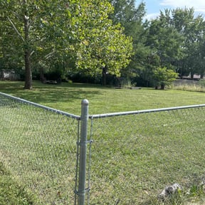 grass cutting by T&amp;j lawn care reviewed on June 22, 2025