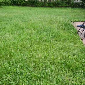 Leaf Removal by Gs lawn care reviewed on July 1, 2026
