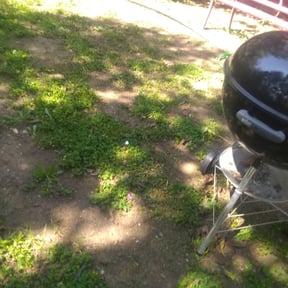 Leaf Removal by Busby Landscapes reviewed on September 20, 2025