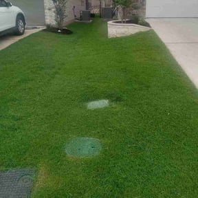 lawn care by King of Lawn Care LLC reviewed on January 7, 2024