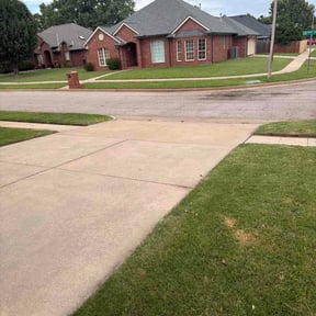 Leaf Removal by Mike and Sons Landscaping reviewed on July 29, 2026