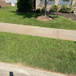lawn maintenance by Wgm landscaping reviewed on August 16, 2025