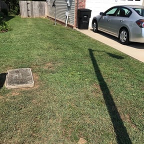 Bush Trimming by Emerald Green Lawn Service reviewed on August 16, 2025