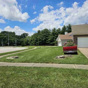 lawn care services by Michael McDaniel reviewed on August 13, 2025