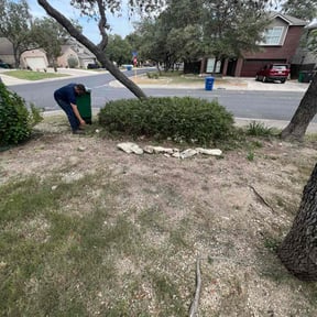 Bush Trimming by Batten Down The Grasses reviewed on March 29, 2022
