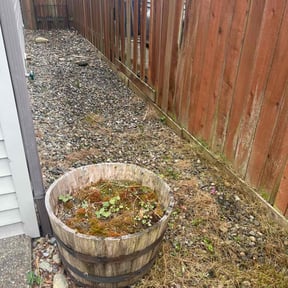 Flower Bed Weeding by Brian The Yard Barber LLC reviewed on December 8, 2025