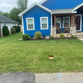 yard maintenance by MGT Service Solutions Inc reviewed on November 22, 2025