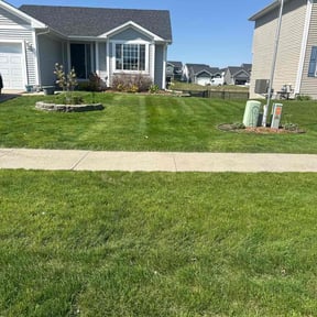 yard care by Felicianos Lawn Maintenance LLC reviewed on August 16, 2025