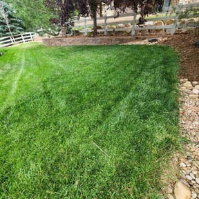 yard work by KJ &amp; Co reviewed on December 10, 2025