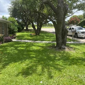 gardening service by Platinum Landscape reviewed on July 7, 2023